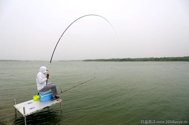 几句话就能辨别是不是真的钓鱼人,这些专业术语你知道多少?