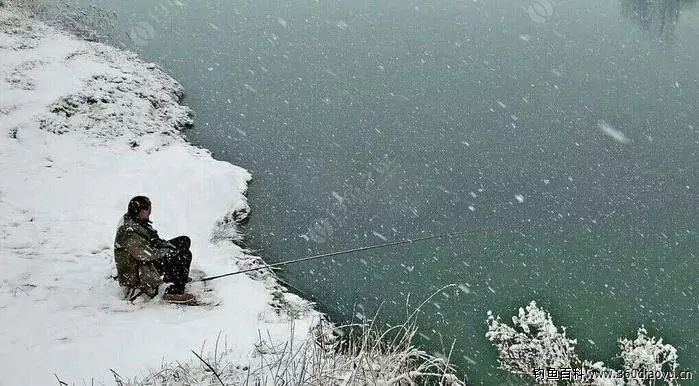 雪天难钓鱼?避开这五种情况照样渔获满篓!